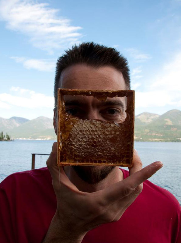 Honeycomb